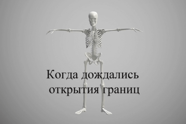 Когда дождались открытия границ после коронавируса