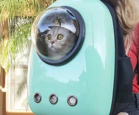 Нужно было выбрать другого туроператора Нужно было выбрать другого туроператора