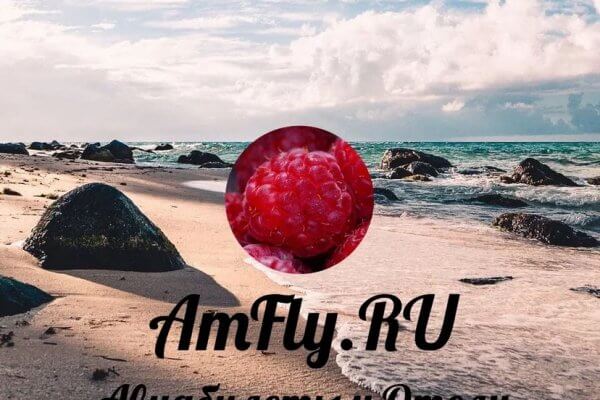 открытые страны для России