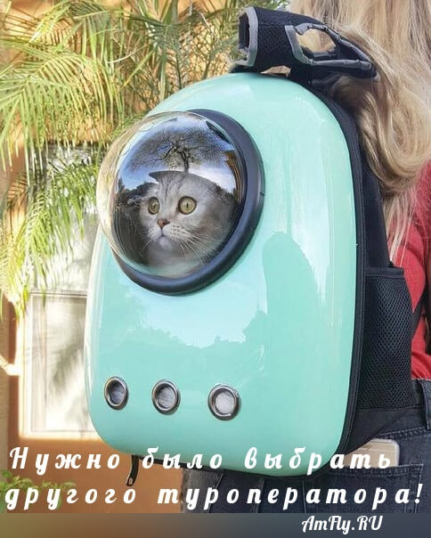 Нужно было выбрать другого туроператора